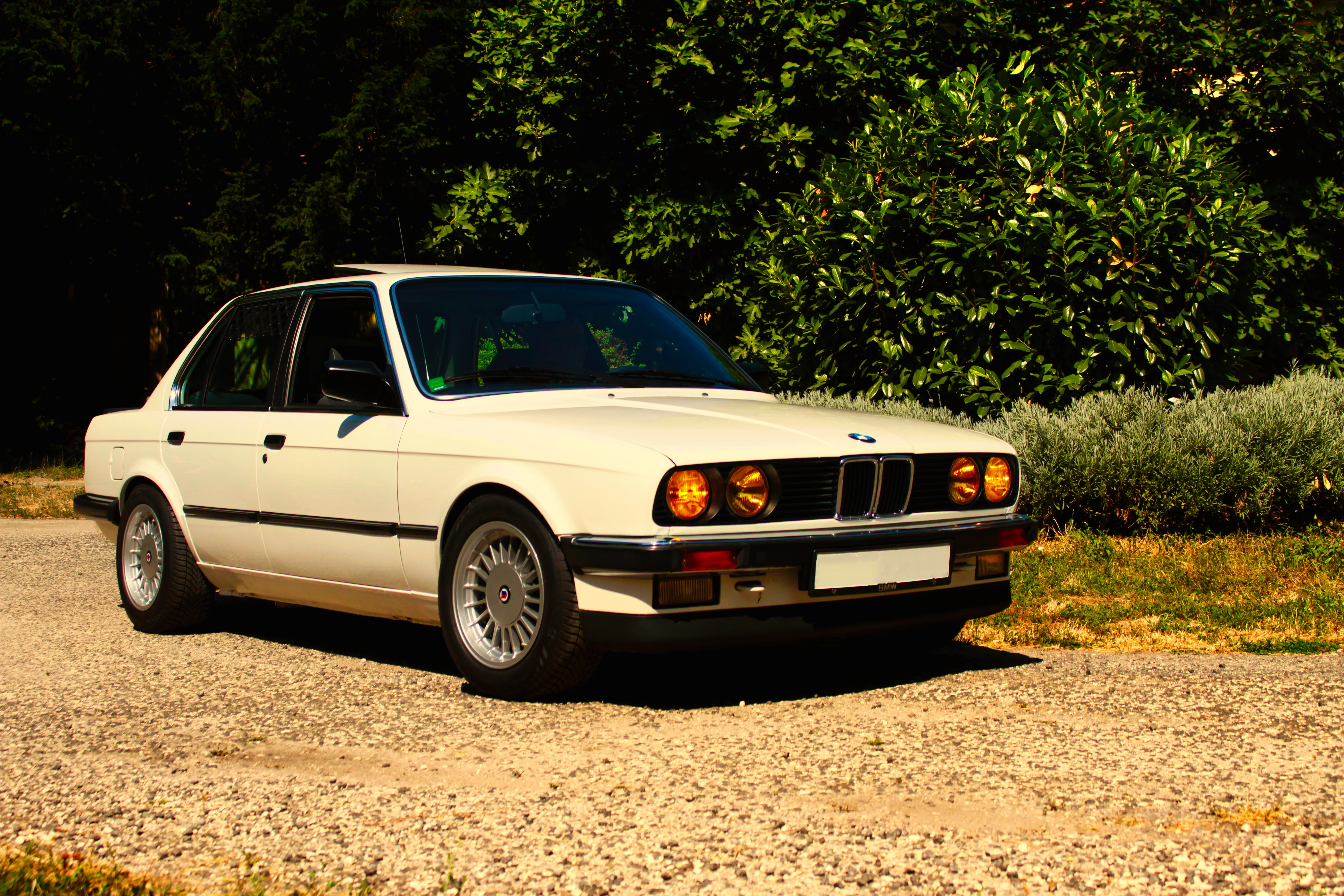 Authentic Picnic 2024 37