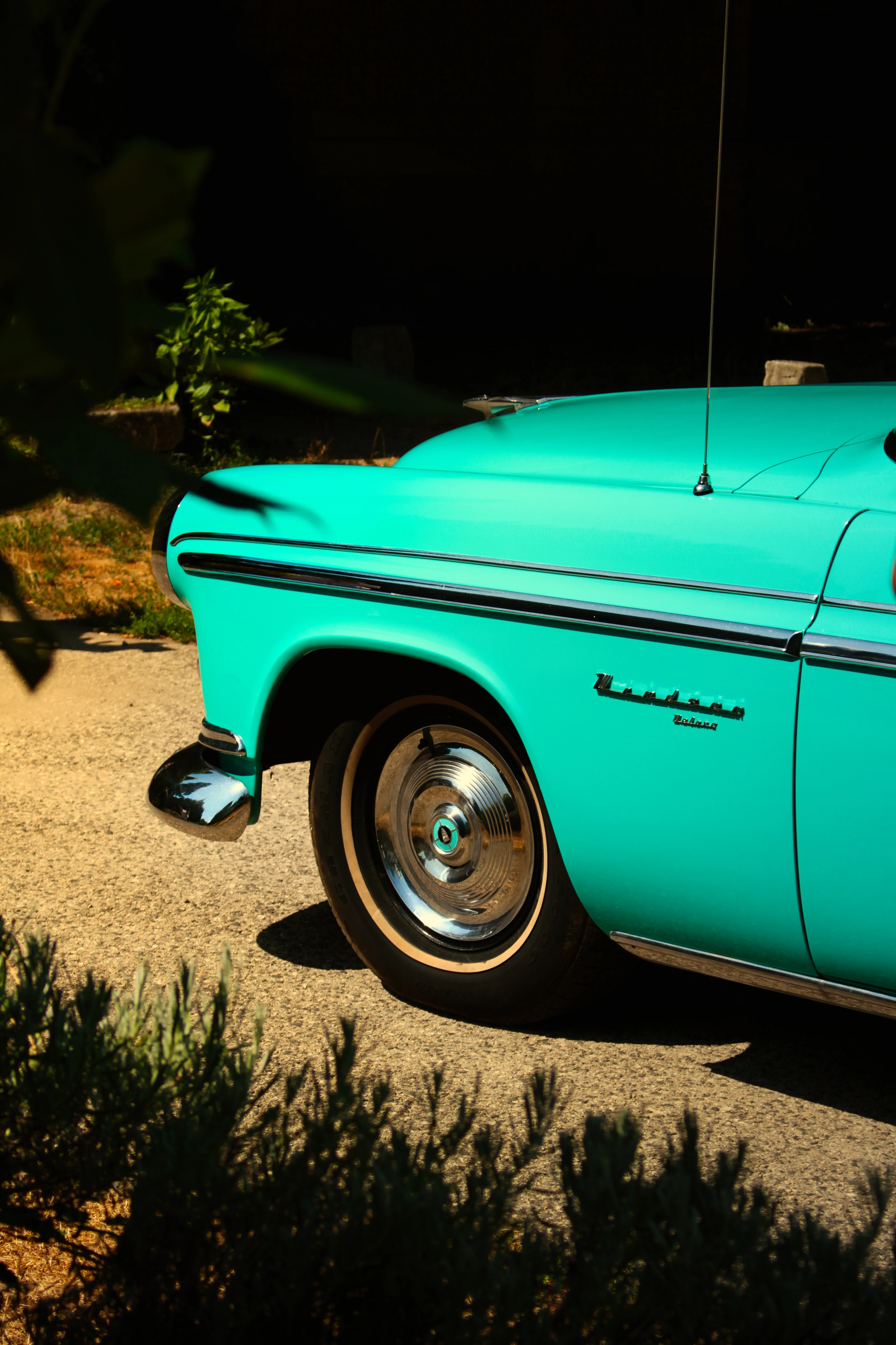 Authentic Picnic 2024 34