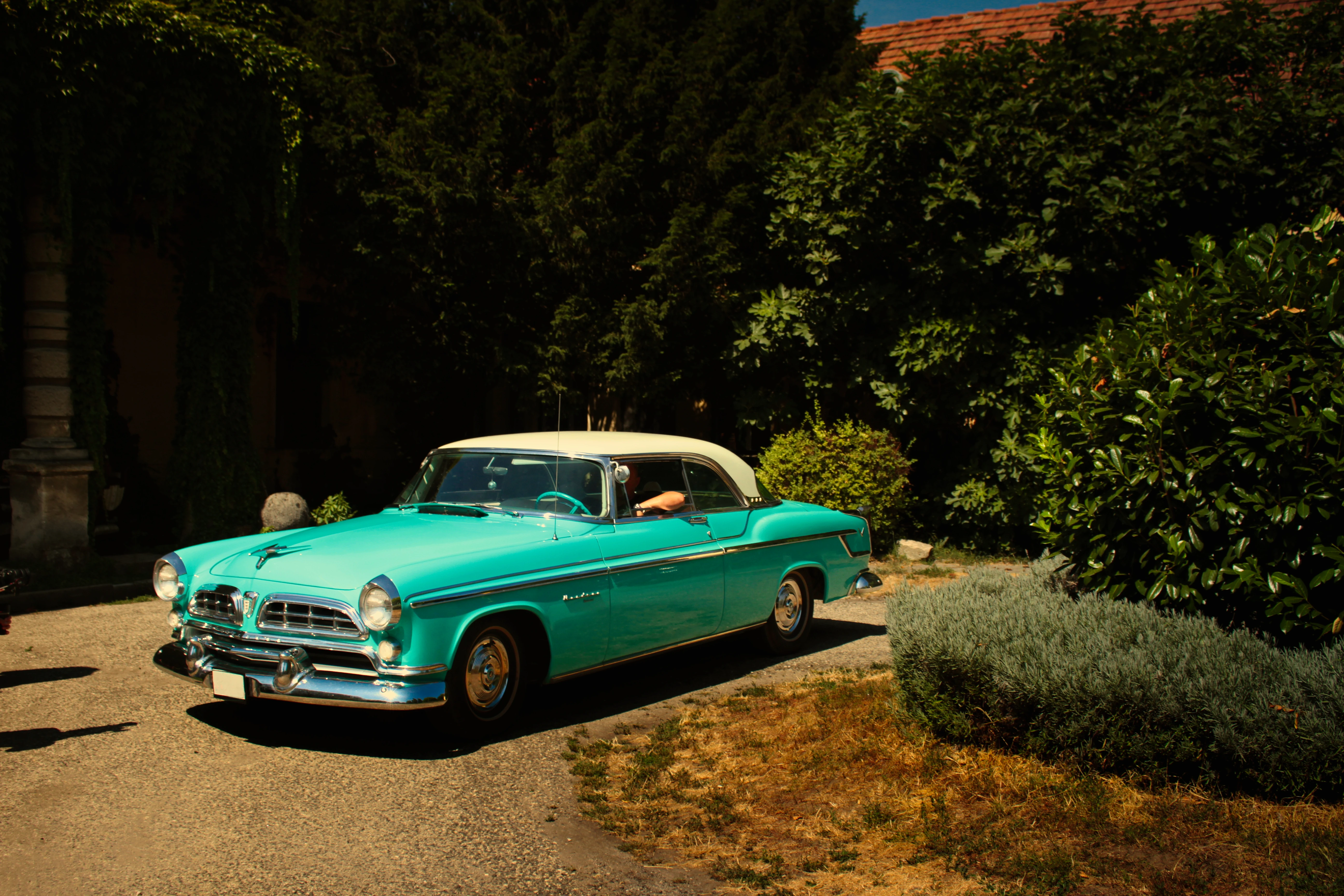 Authentic Picnic 2024 33