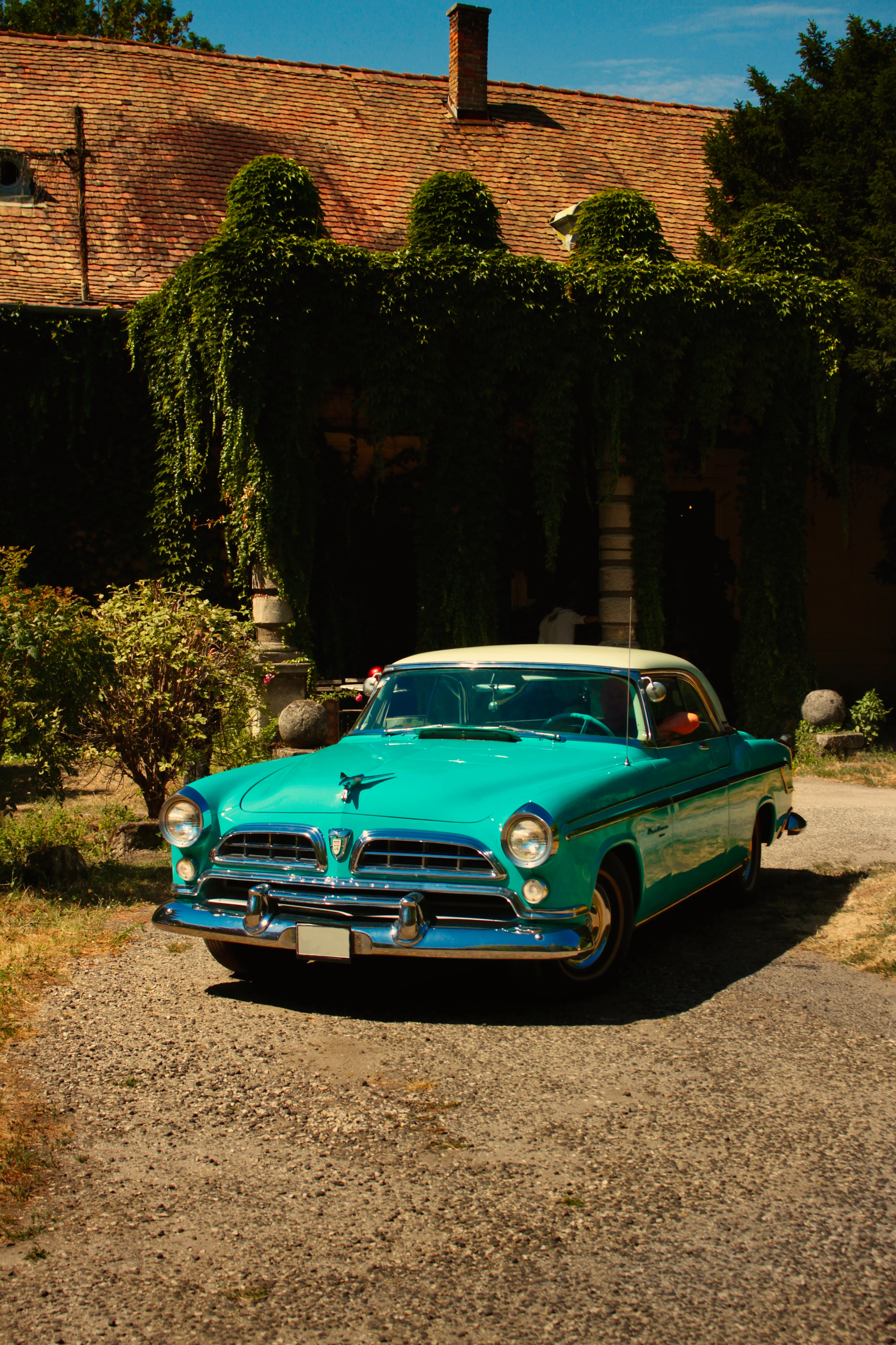 Authentic Picnic 2024 32