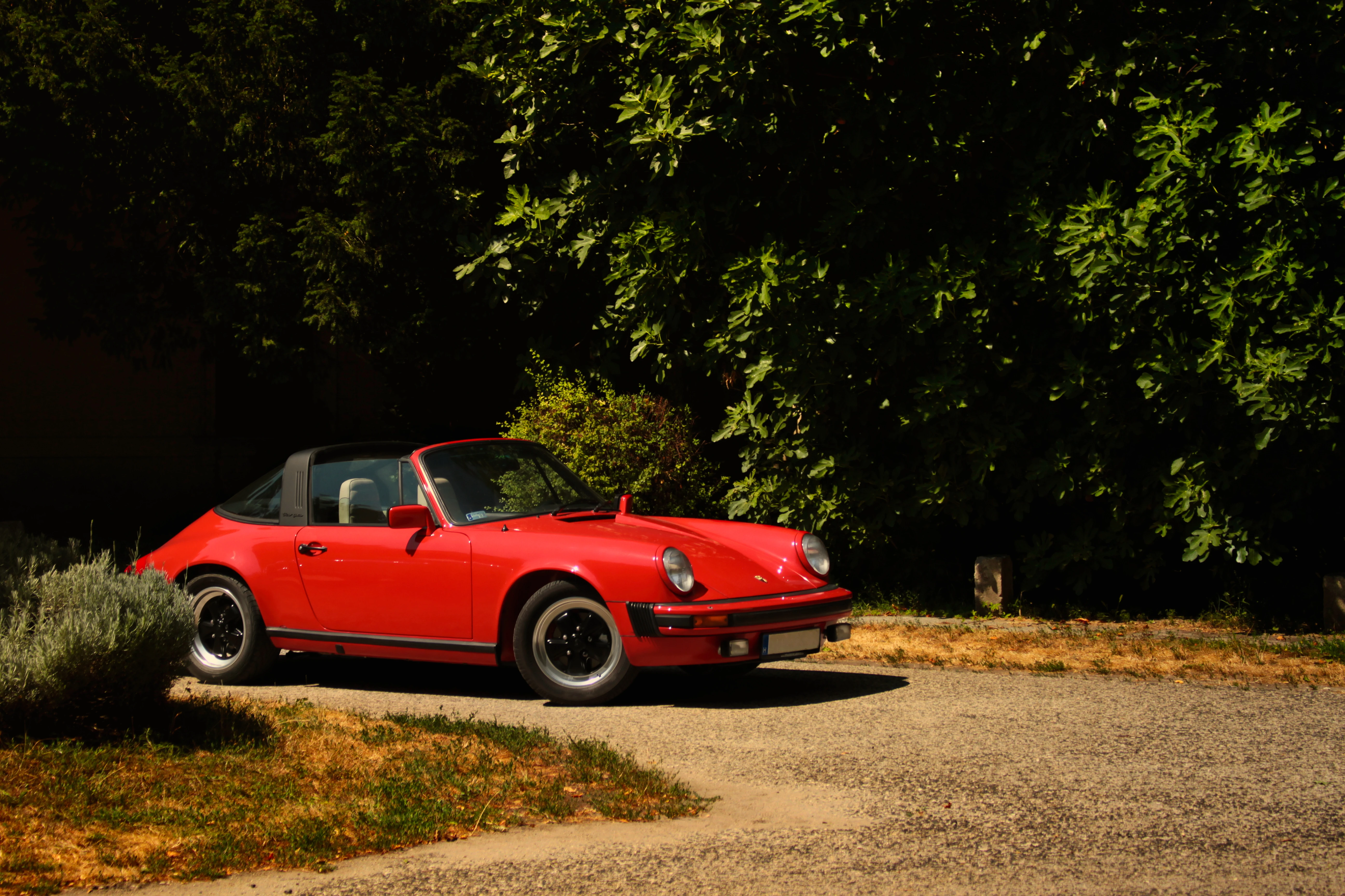 Authentic Picnic 2024 31