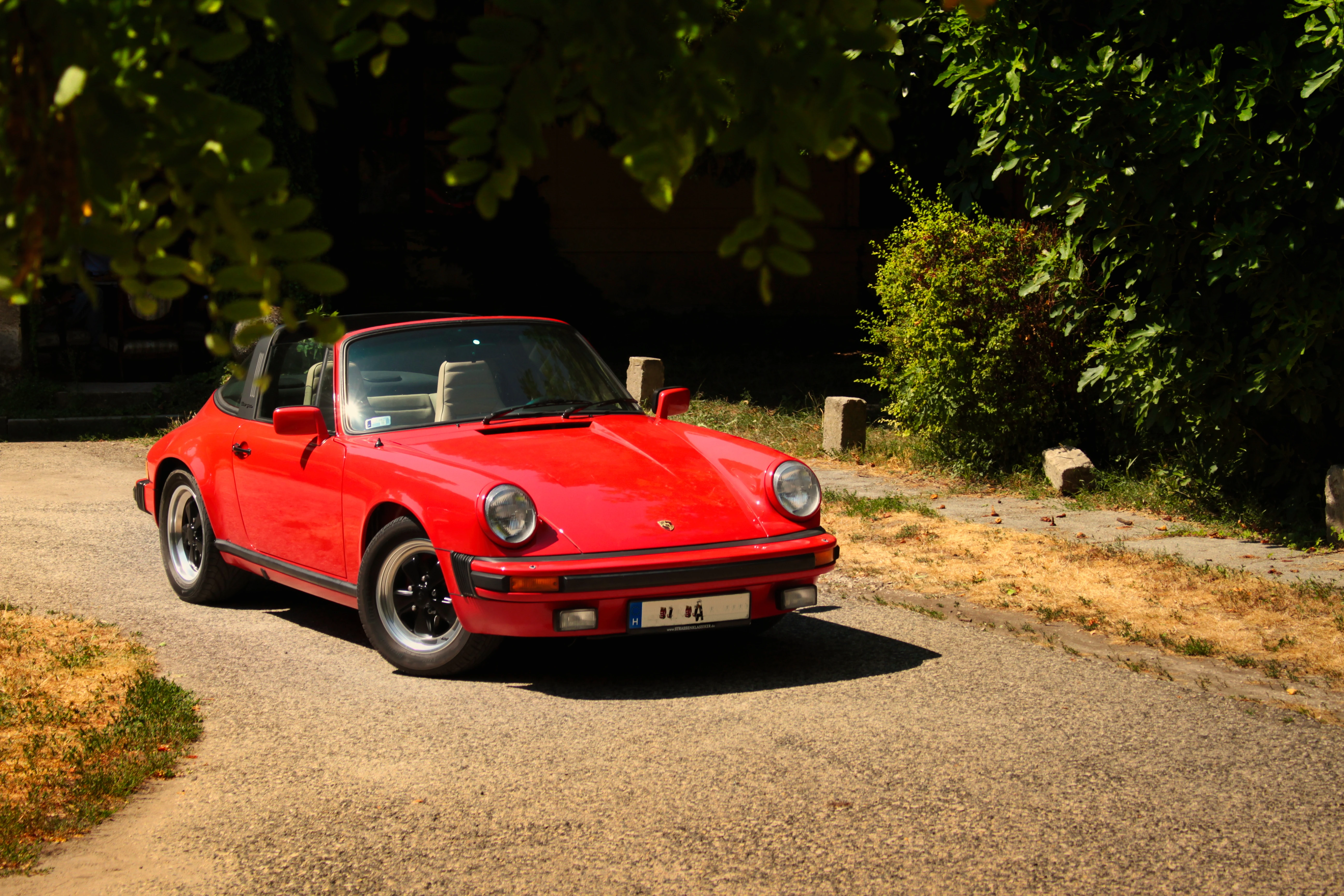 Authentic Picnic 2024 30