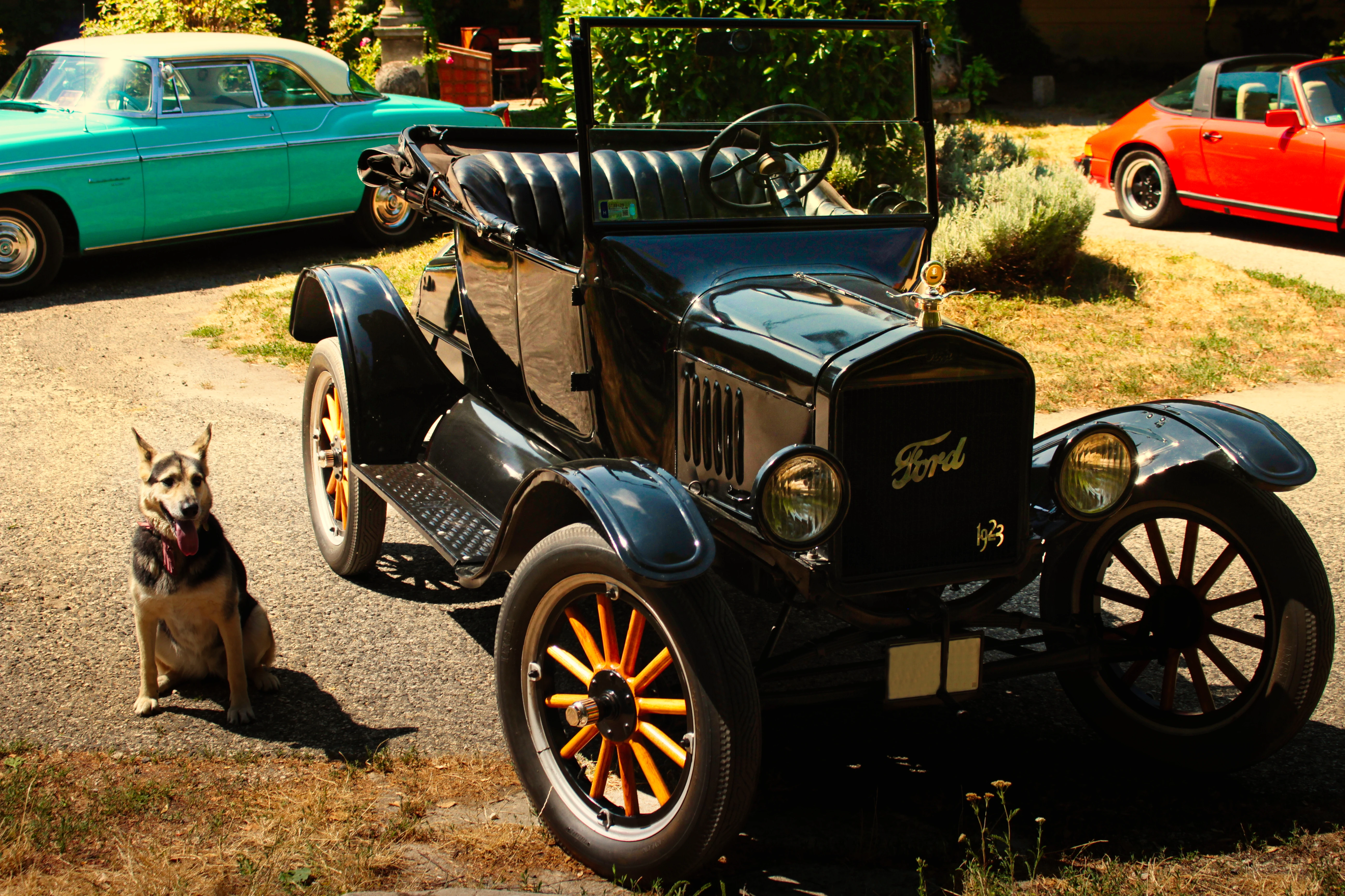 Authentic Picnic 2024 26