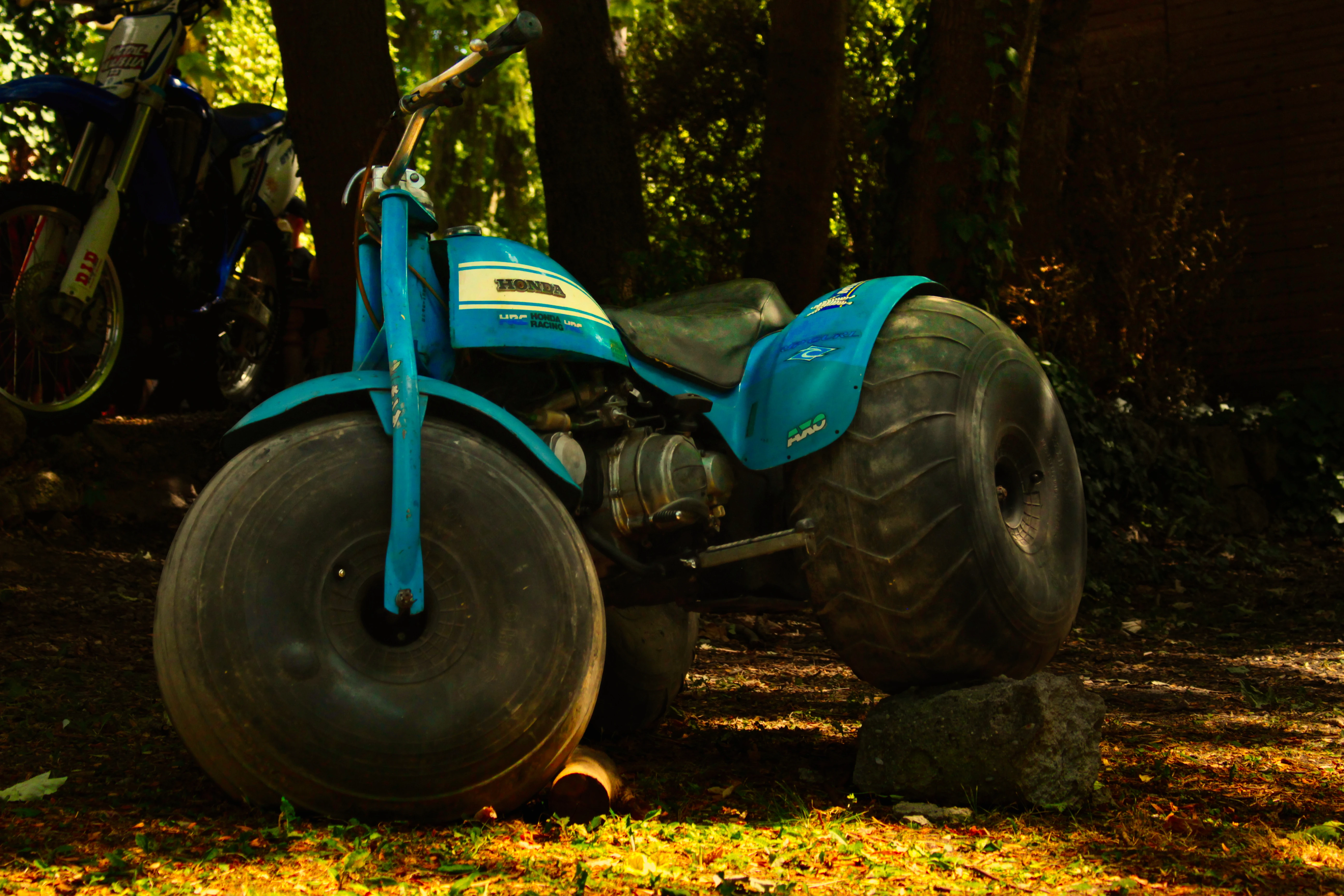 Authentic Picnic 2024 23