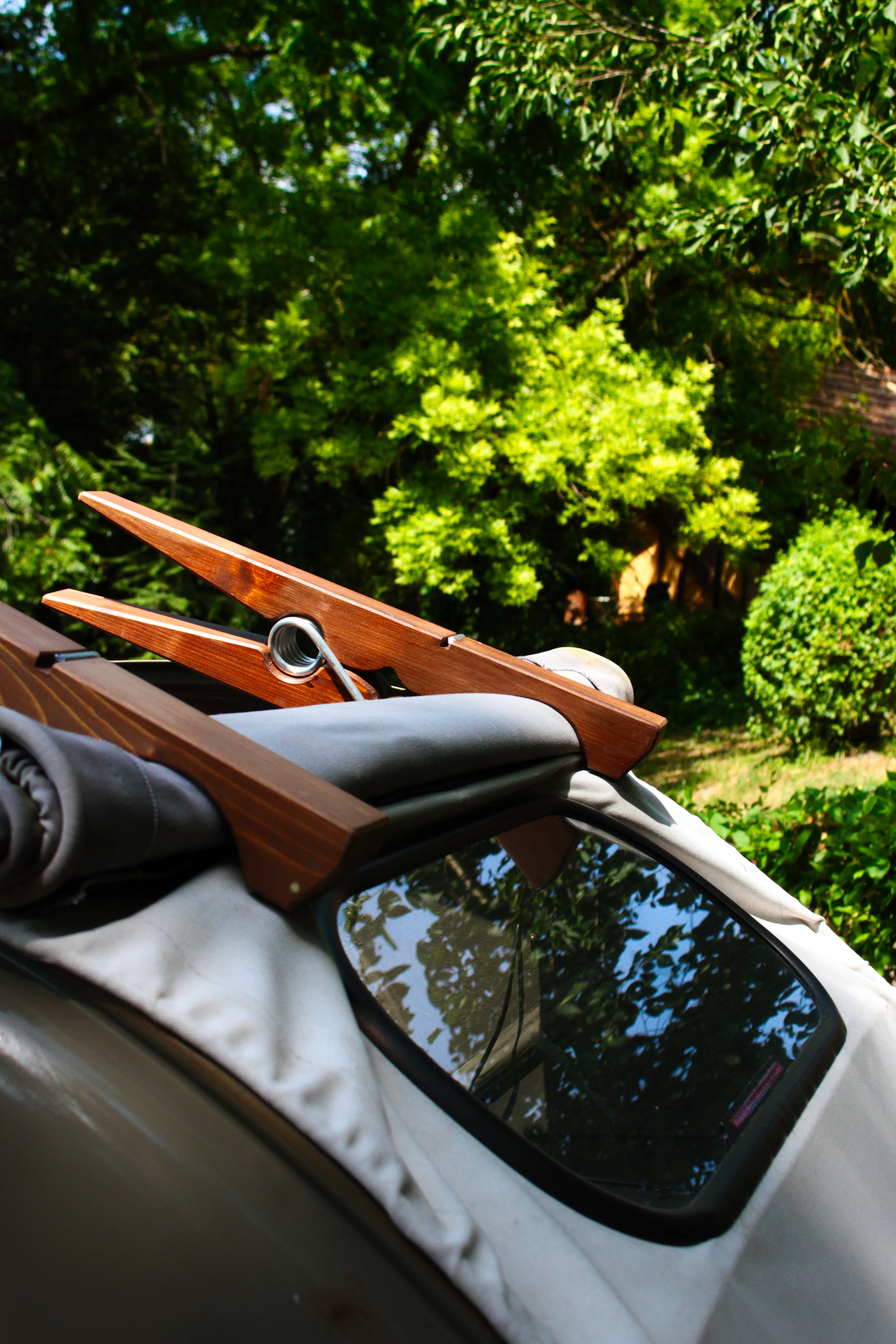 Authentic Picnic 2024 22