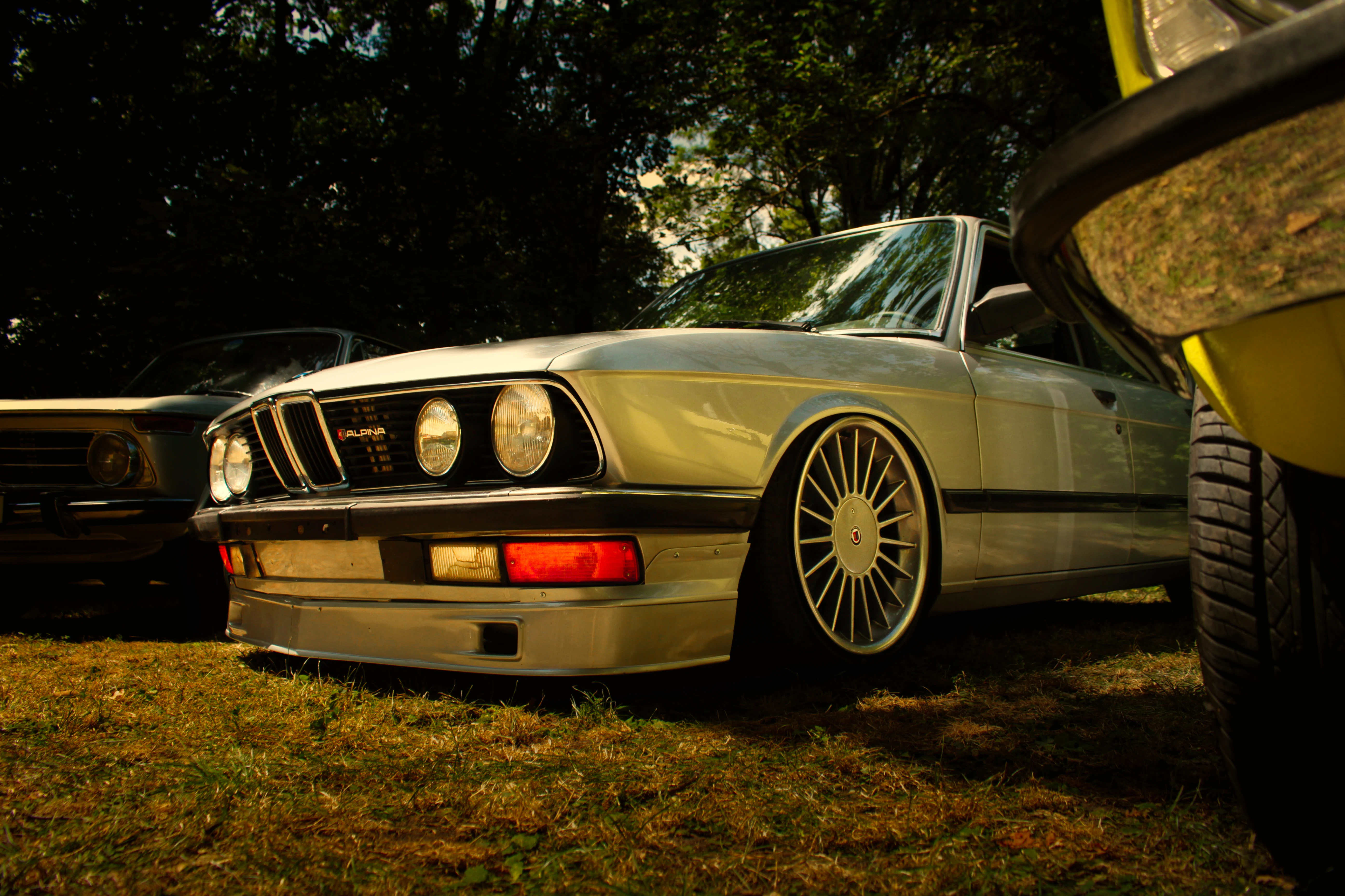 Authentic Picnic 2024 21