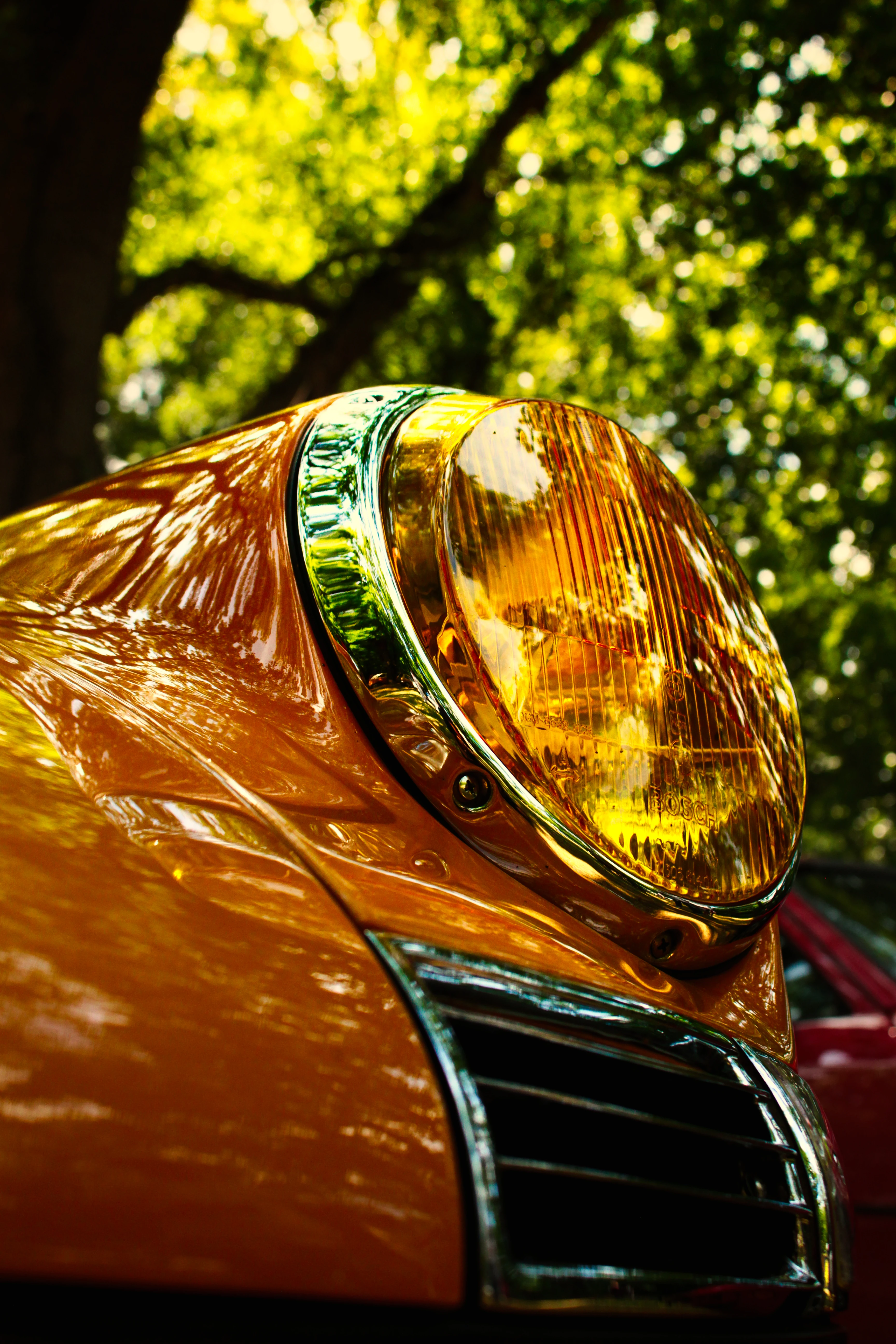 Authentic Picnic 2024 20