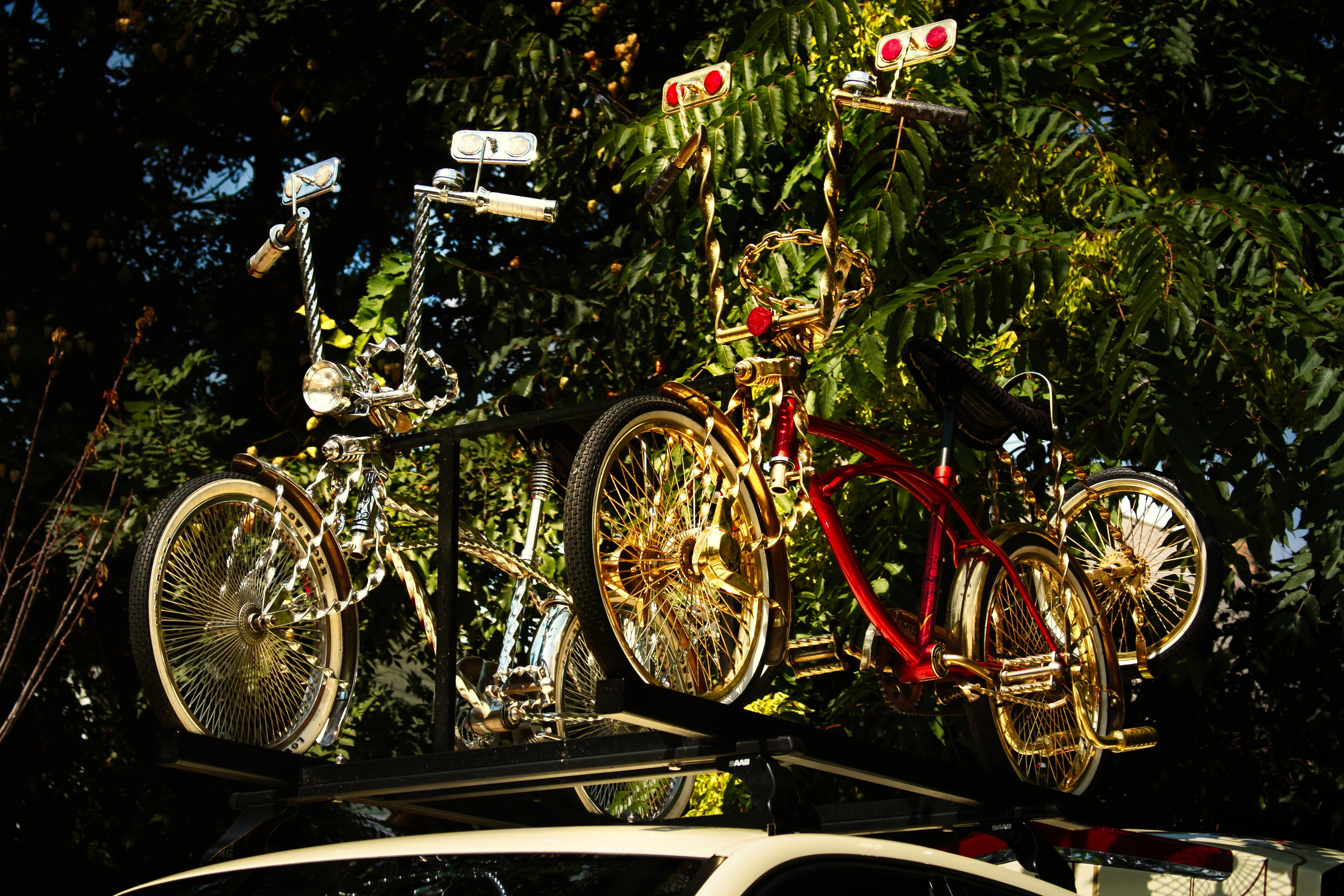 Authentic Picnic 2024 16