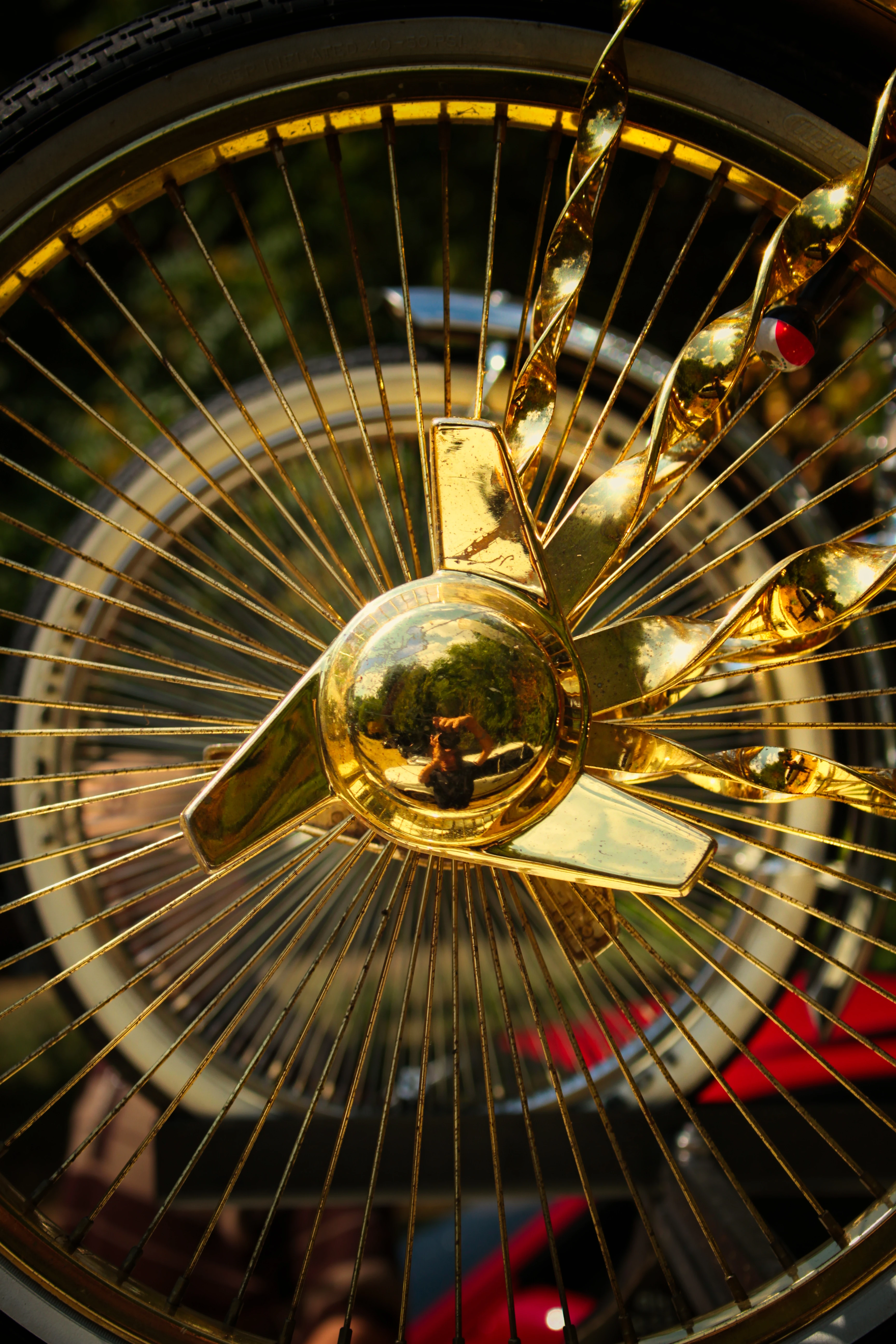 Authentic Picnic 2024 15