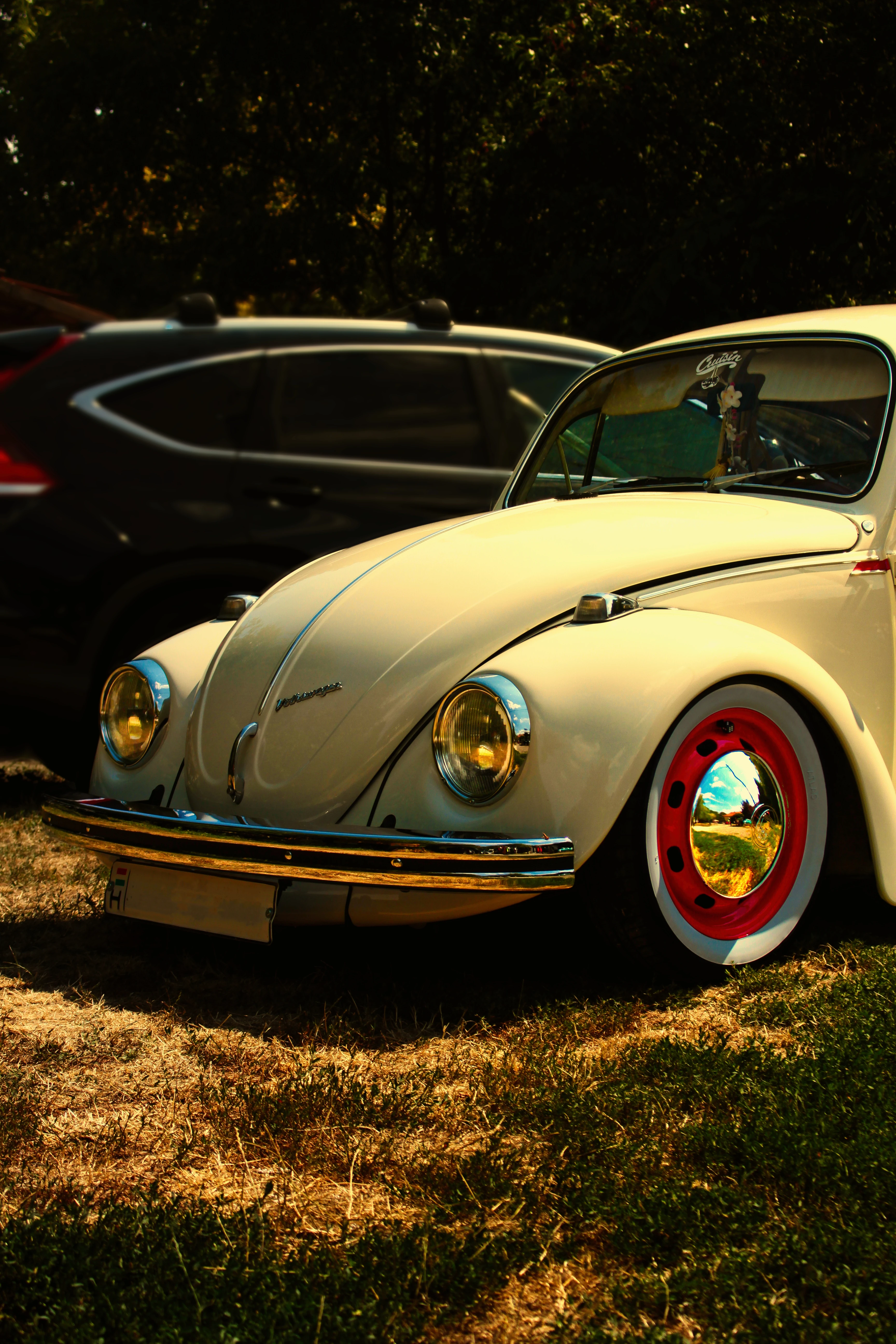 Authentic Picnic 2024 14