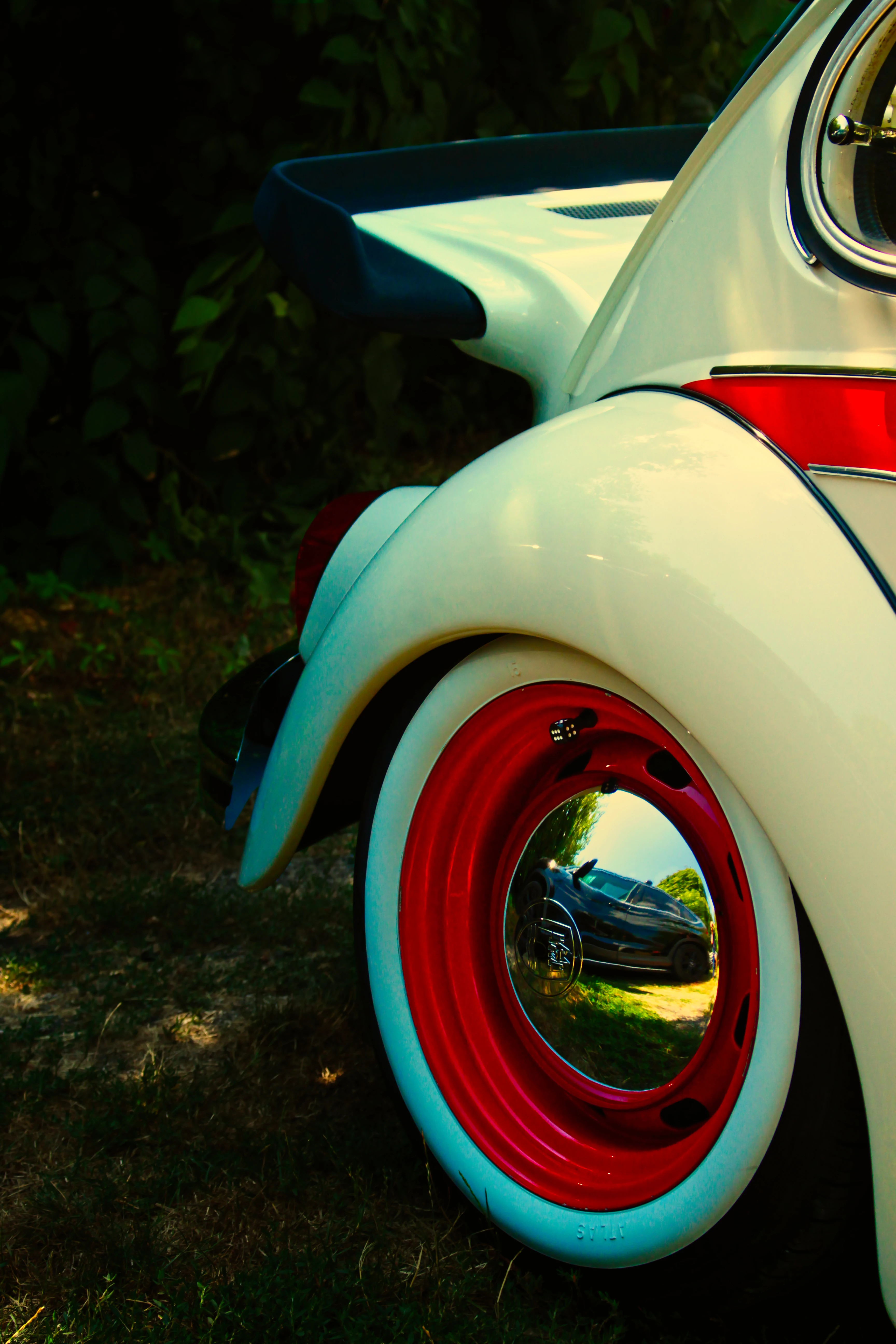 Authentic Picnic 2024 13