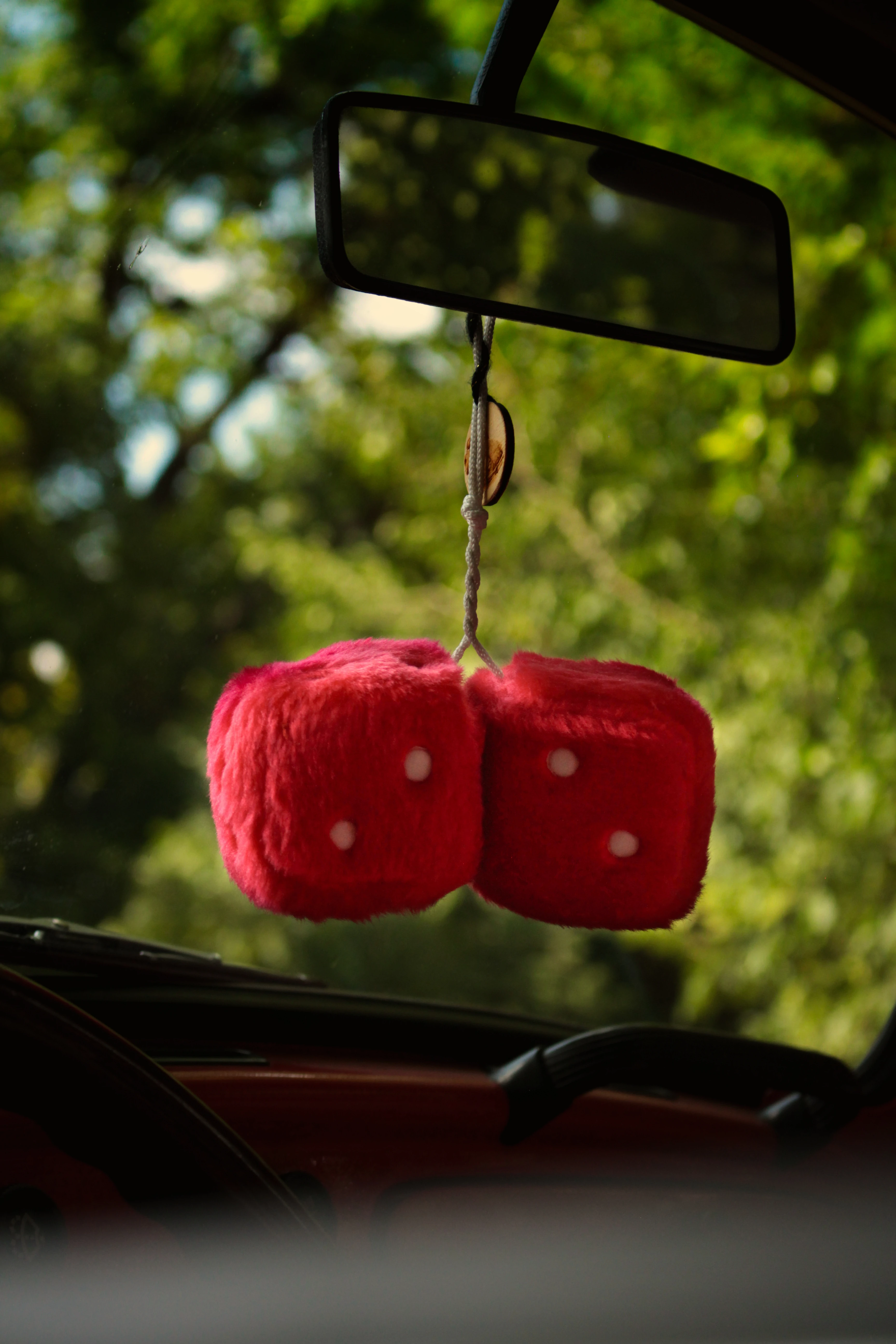 Authentic Picnic 2024 11