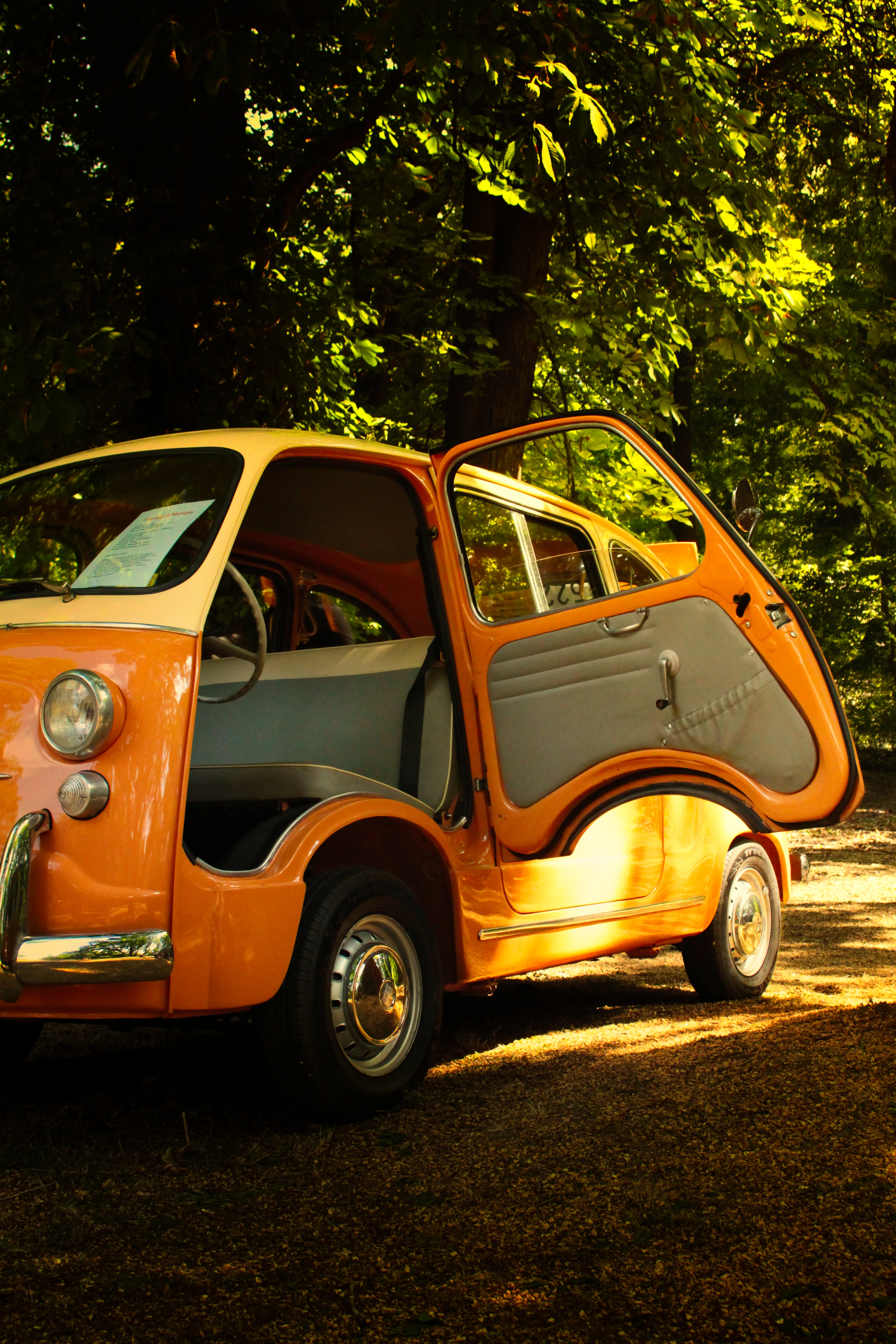 Authentic Picnic 2024 10