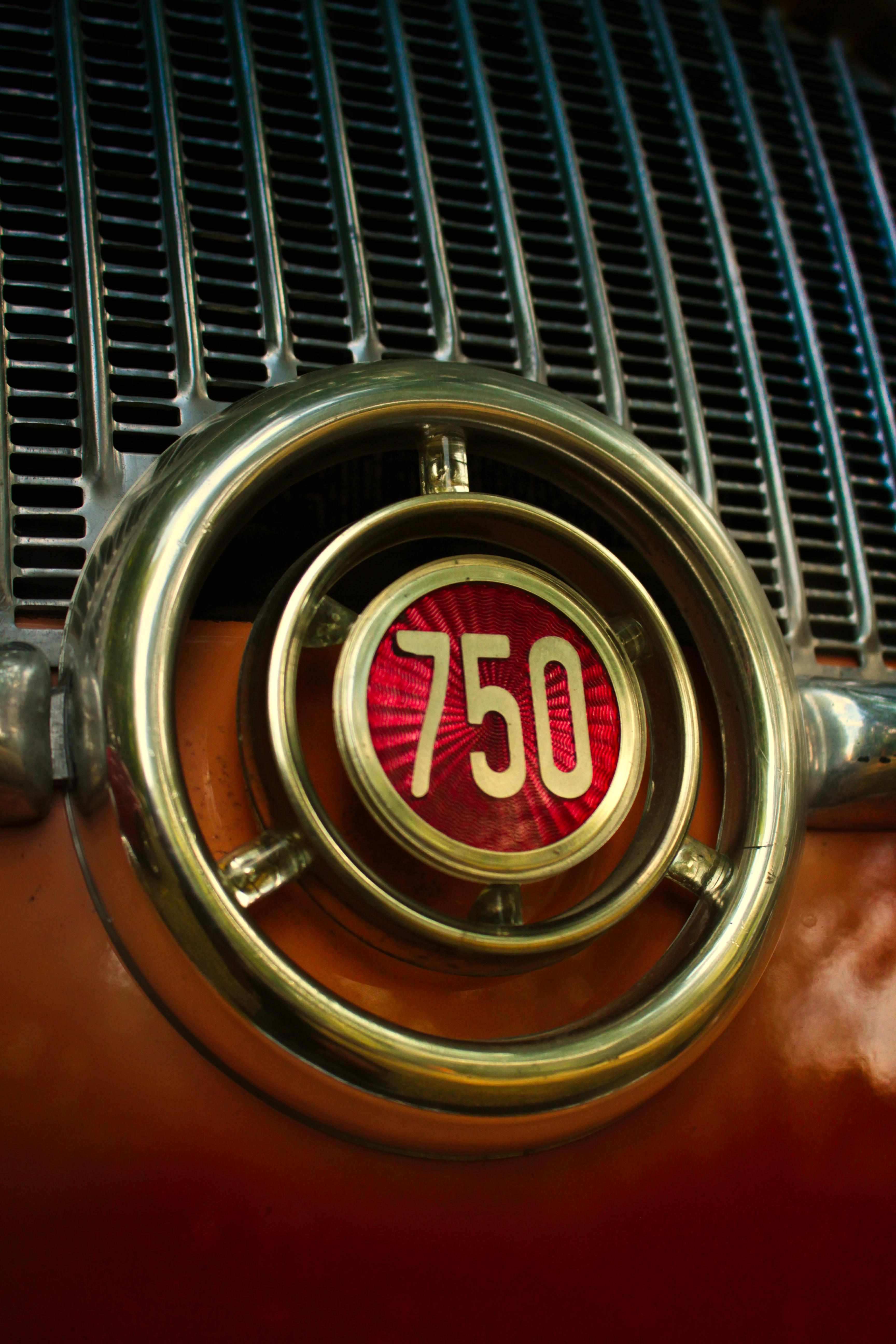 Authentic Picnic 2024 9