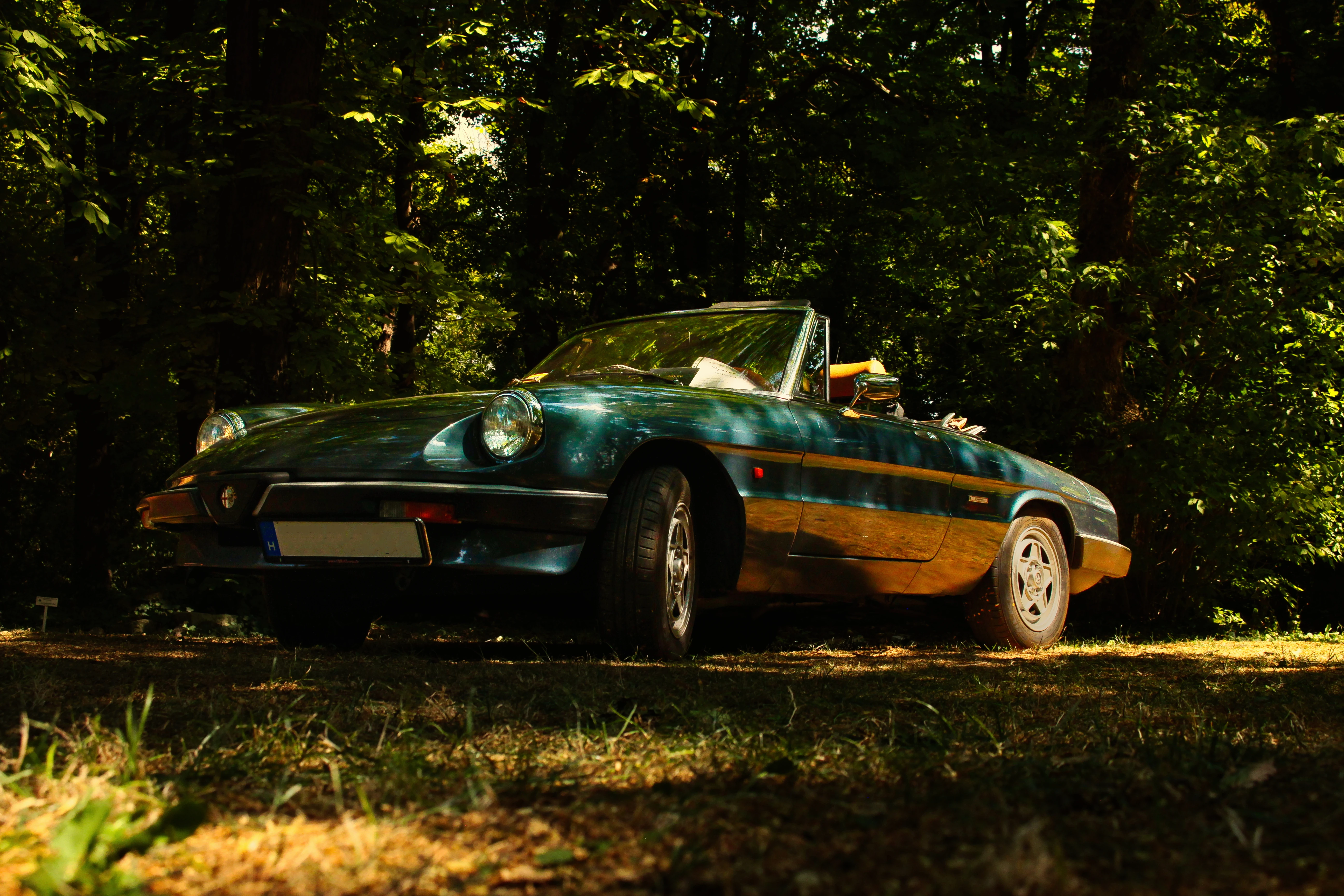 Authentic Picnic 2024 8