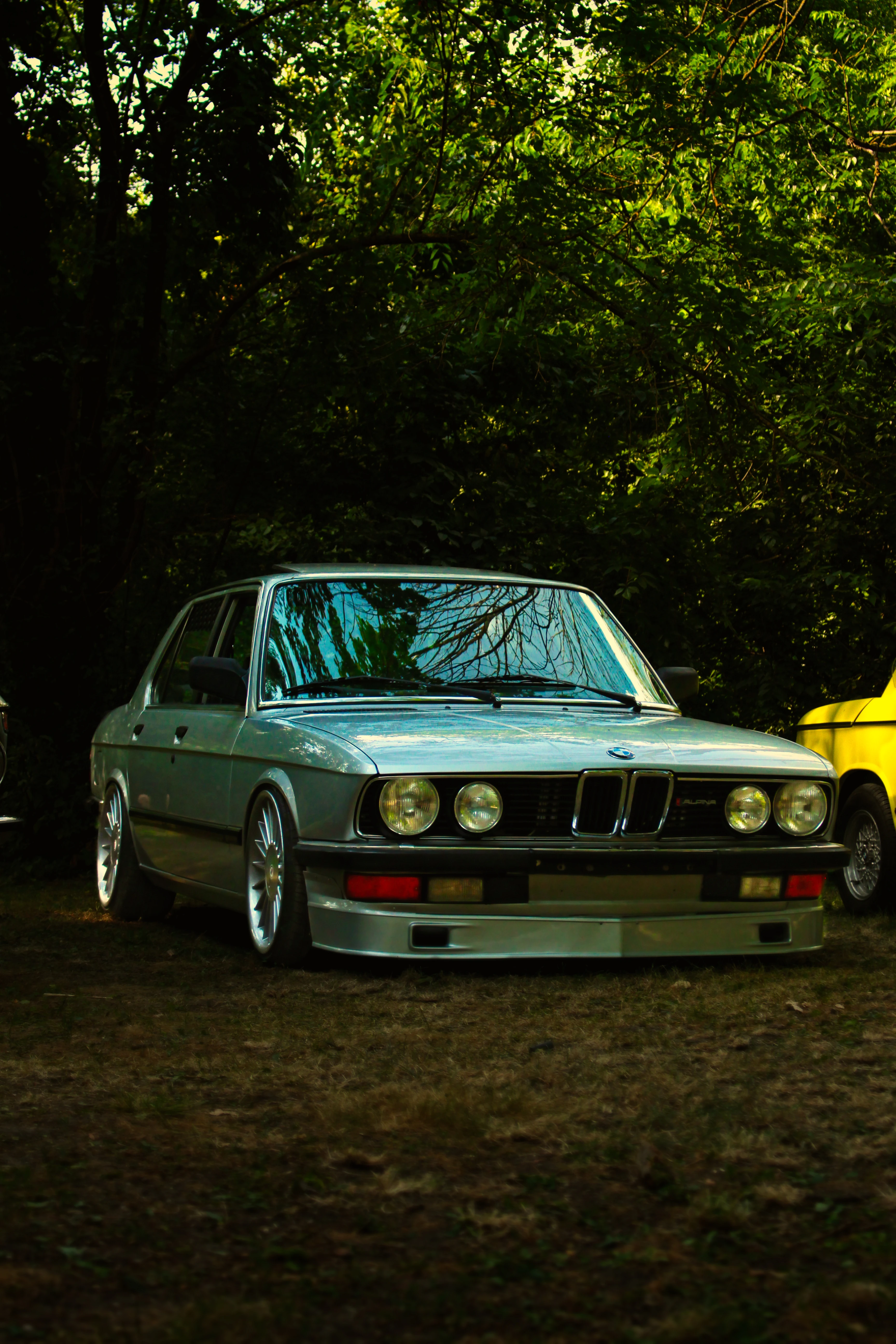 Authentic Picnic 2024 7